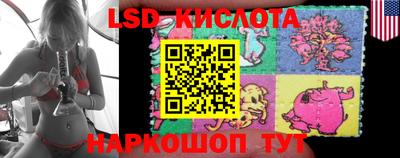 прущие грибы Малгобек