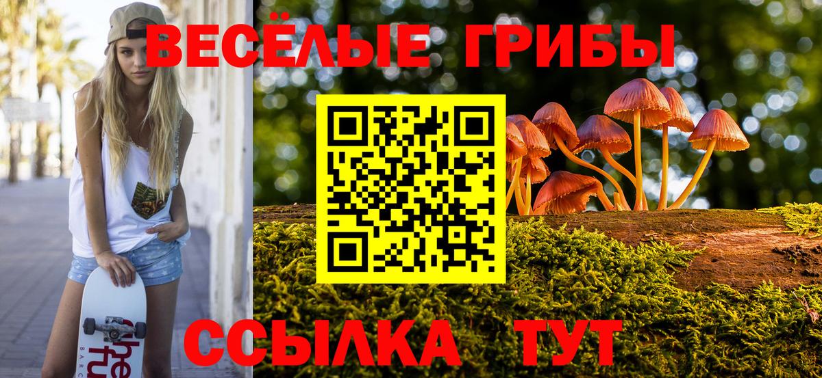 Галлюциногенные грибы Psilocybe Алексин