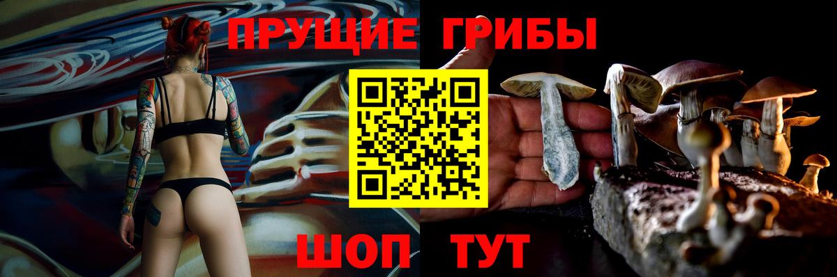 Псилоцибиновые грибы мухоморы  Вход с VPN  Алексин  Галлюциногенные грибы Magic Shrooms 